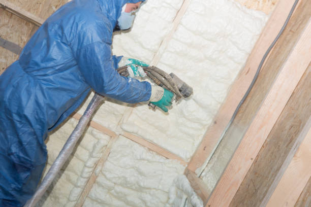 Best Attic Insulation Installation  in Forestville, OH